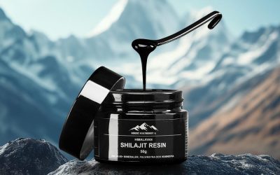 Är Shilajit farligt?